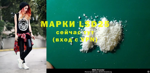 шишки Абаза
