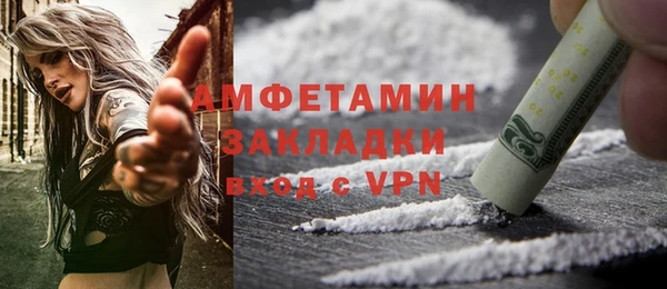 шишки Абаза